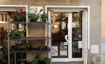FLORISTERIA MORRAL