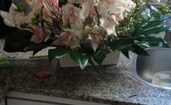 Fina Floristes