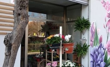 Floristería Raysa