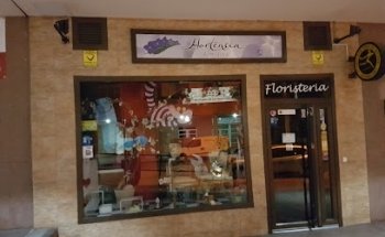 Hortensia Art Floral