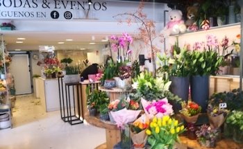 PAMPLONA Florist Torrens