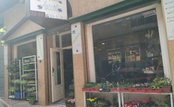 Floristería Ancora