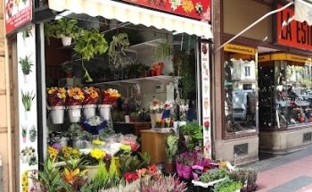 KS floristería
