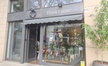 Mr.Florist Barcelona