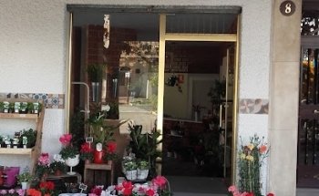 Amapola Floristerías