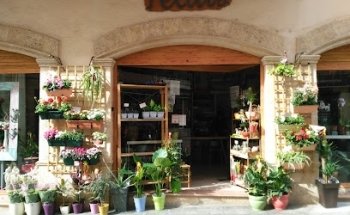 Floristeria Pètals Torredembarra