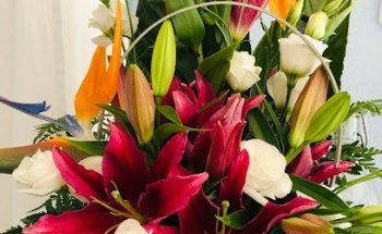Floristería Calvente