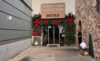 FLORS I PLANTES BOTER