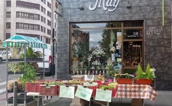 Flores May