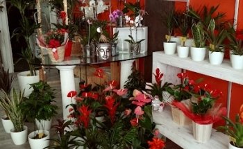Floristería Naturaleza Tropical