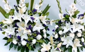 FLORISTERIA CANO