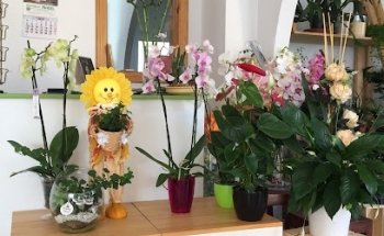 Floristería Mabel