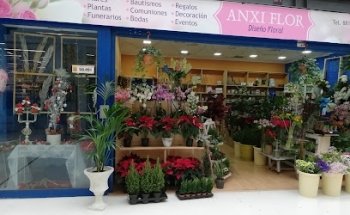 Anxi Flor