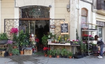 Florist La Plata