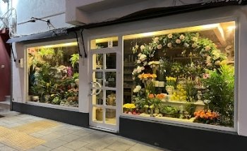 Decorflor
