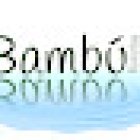 Bambu Floristas