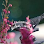 Florist steamers