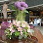 Valls Flors