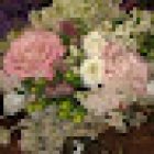 Flors La Selva