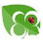 Florist El Bohio