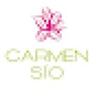 Floristería Carmen Sío