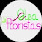 Olea Floristas