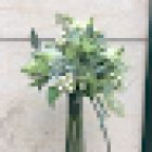 Pasanau Flors