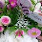 Florist Las Dalias