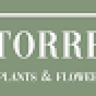 La Torreta