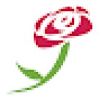 Floristería Fina