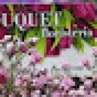 Floristería Bouquet Zamora