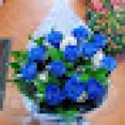 Floristería ENEBRO