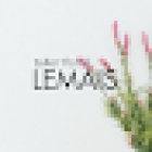 Floristería LEMAIS