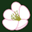 Flores Inoma
