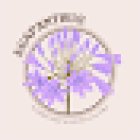 Floristería
