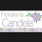 Floristería Candela