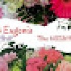 Flors Eugènia Art floral