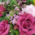 Floristería Lara