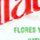 Granada Florist
