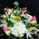 MY Floristería