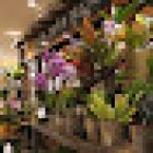 Floristería Verdecora CC Carrefour Alcobendas