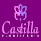 Castilla Floristería