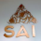SAI más que flores