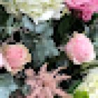 Floristería Layma