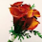 Floristería Herboflor