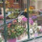 Floristeria Gordóniz