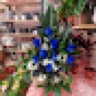 Floristeria Bogas