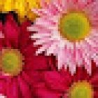 Arte Y Flor