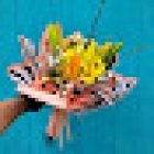 Floreria La Pergola La Serena