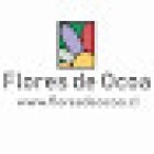 Flores de Ocoa